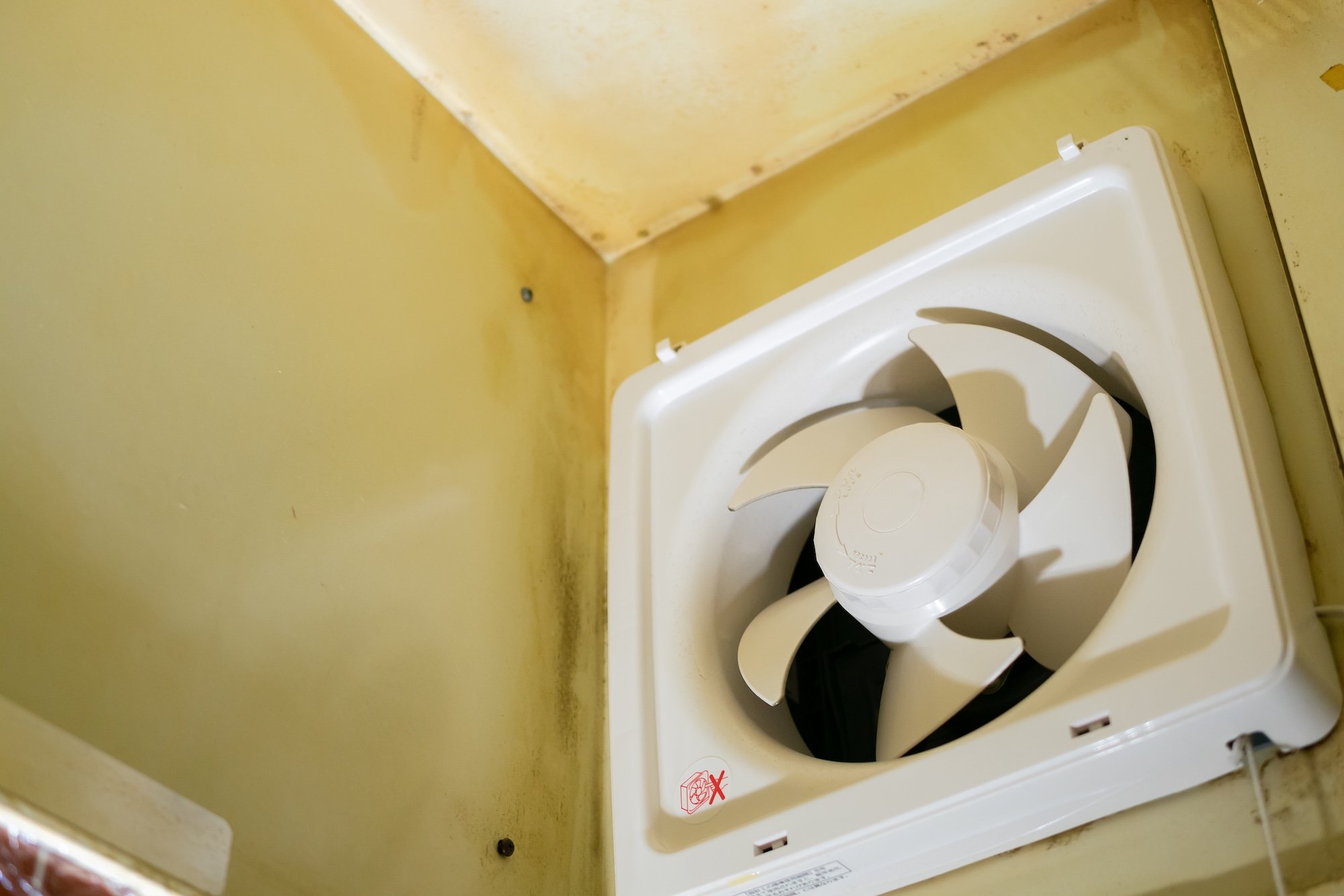 ファンタイプの換気扇