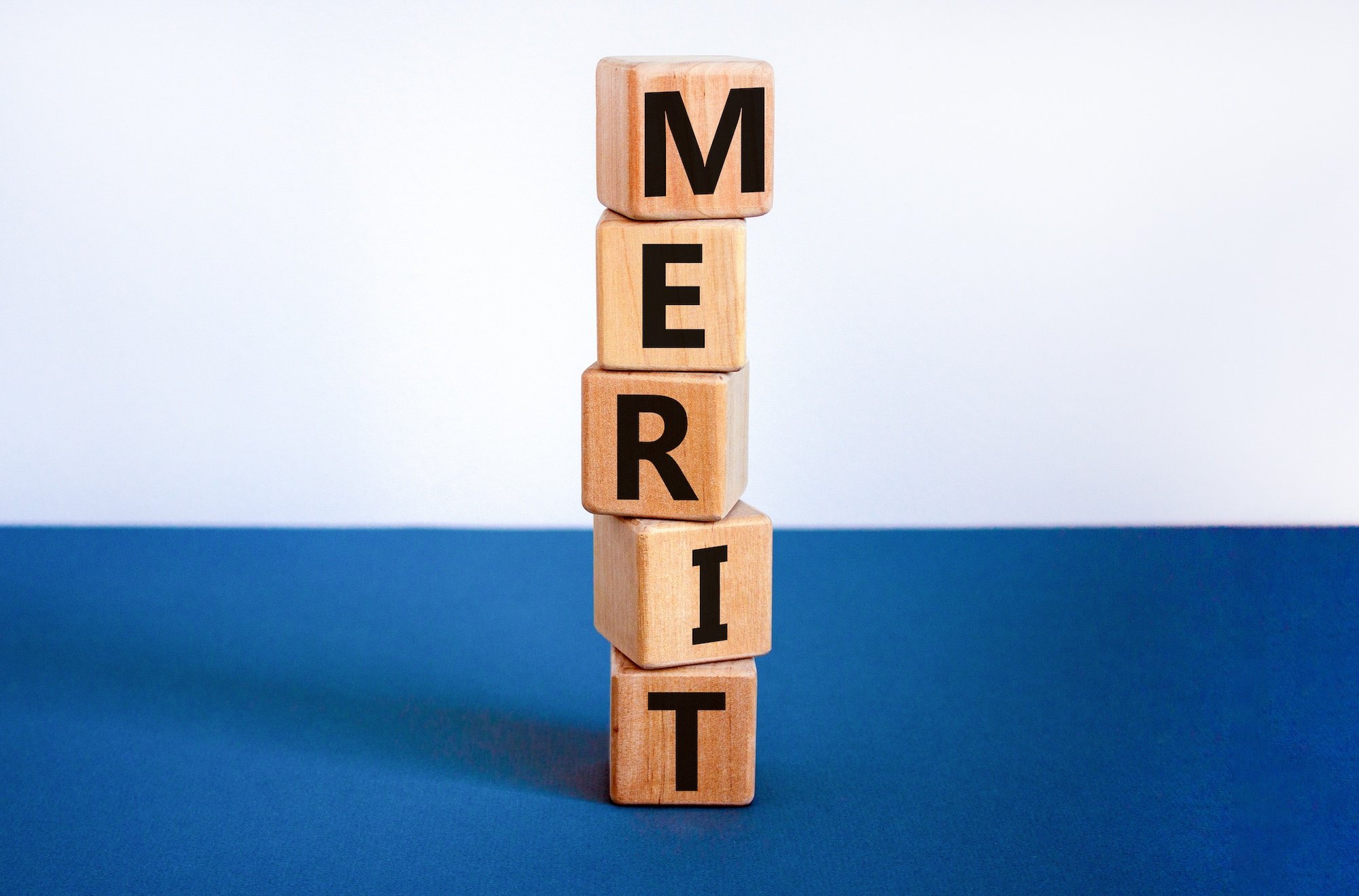 MERITと書かれた積み木